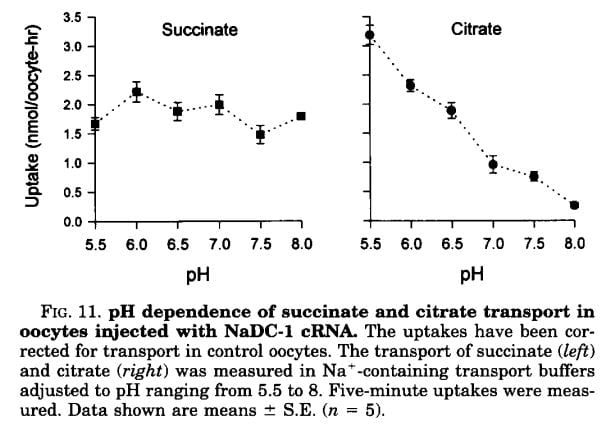 ph dependence of citrate transport from pajor first jbc paper